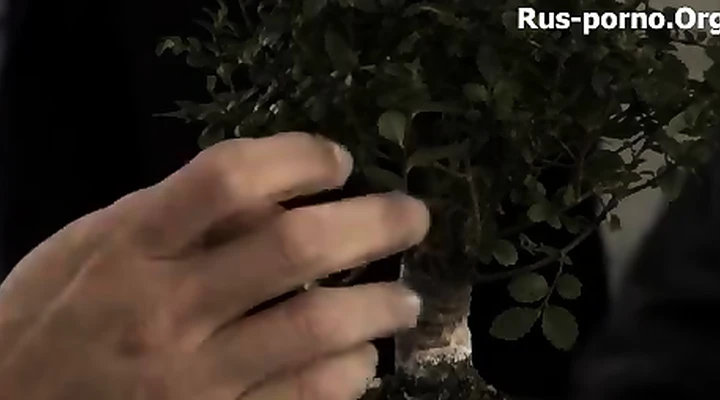 Хорошая ебля во все щели с сочными сосками